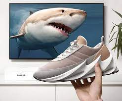 shark shoes